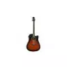 Comprar Ashton D20CEQtsb Sunburst al mejor precio