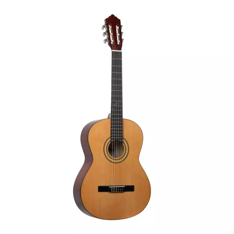 Ashton SPCG44br Pack Guitarra Clasica Molina