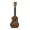 Comprar Ashton UKE500sbw Black Walnut al mejor precio