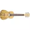 Comprar Ashton UKE500cma Mango al mejor precio