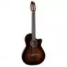 Comprar Godin Arena Pro Cw Bourbon Burst Eq al mejor precio