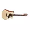 Compra takamine p2dc al mejor precio