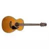Compra takamine gn30nat al mejor precio