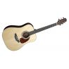 Compra TAKAMINE DREADNOUGHT GTVCP5DCO-AD al mejor precio