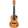 Comprar Ortega RUET-Sma Spalted Maple al mejor precio