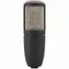 Comprar AKG P420 Perception al mejor precio
