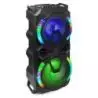 Comprar Fenton Live280 Conjunto Karaoke 2X 8&quot; al mejor precio