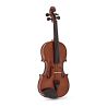 Comprar Violin Stentor Student II SH 4/4 al mejor precio