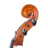 Comprar Cello Corina Duetto 3/4 al mejor precio