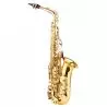 Comprar saxo alto Amadeus AL-802l al mejor precio