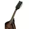 Comprar Ortega RMA30-WB A-Style Whiskey Burst al mejor precio