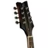 Comprar Ortega RMA30-WB A-Style Whiskey Burst al mejor precio