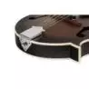Comprar Ortega RMF30-WB F-Style Whiskey Burst al mejor precio