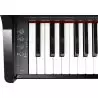 Roland GP-3
