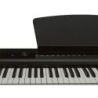 Comprar Piano Digital Ek P-200 Negro al mejor precio