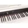 Comprar Piano Digital Ekp300 Blanco al mejor precio