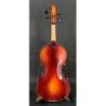 Comprar Violín Amadeus 3/4 Brillo Vp301e-B al mejor precio