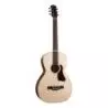 Comprar Godin Rialto Natural RN GT EQ al mejor precio