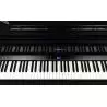 Roland GP-9 PE