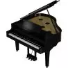 Roland GP-9 PE