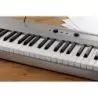 Comprar Korg Liano Metallic Silver al mejor precio