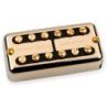 Seymour Duncan Psyclone Vintage Neck Gold Cover