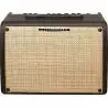 Comprar Ibanez T30II - combo para guitarra acústica - 30W - 1 x