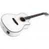 Hagstrom Siljan II Dreadnought CE White Gloss