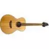 Breedlove Discovery S Concert Sitka-African Mahogany Guitarra Acústica