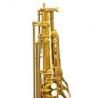 Bressant Ts101 Saxofón Tenor Lacado En Fa