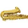 Comprar Bressant As220 Saxofón Alto Lacado En Fa al mejor precio