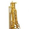 Bressant Ts220 Saxofón Tenor Dorado
