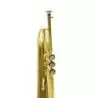 Bressant Flg210 Fliscorno Si Bemol Dorado