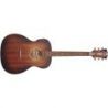 Comprar D&#039;angelico Premier Tammany Ls Aged Mahogany al mejor