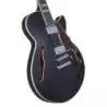 Comprar D&#039;Angelico Premier Ss Black Flake al mejor precio