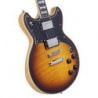 Comprar D&#039;angelico Deluxe Brighton Vintage Sunburst al mejor