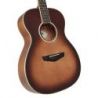 Comprar D&#039;angelico Excel Tammany Autumn Burst al mejor precio