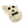 Mahalo Ukelele Creative Series Skull White
