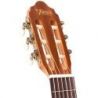 Valencia Vc350 Natural Guitalele