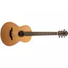 Comprar Sheeran By Lowden W01 Guitarra Acústica Natural al