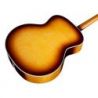 Comprar Guild F-55E Jumbo Maple Antique Burst Usa al mejor