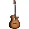 Comprar Alvarez AEG95CE ShadowBurst Artist Elite Grand