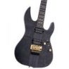 Comprar Sire Larry Carlton X10 Trans Black Satin al mejor precio