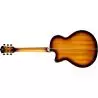 Comprar Washburn Festival Ea15 Tobacco Burst Guitarra