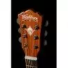 Comprar Washburn Wcg55ce Comfort Series Koa Guitarra