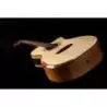 Comprar Washburn Wcg66sce Comfort Series Spalt Maple Guitarra