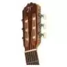 Comprar Jose Torres JTC-5S Wine Red al mejor precio