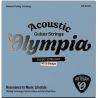 Olympia Artisan Acoustic Guitar Coated Strings, 80/20 Brz, 010-047