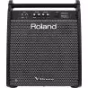 Compra ROLAND PM-200 al mejor precio