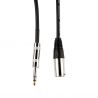 Armour CJPM10 cable XLR M a jack M